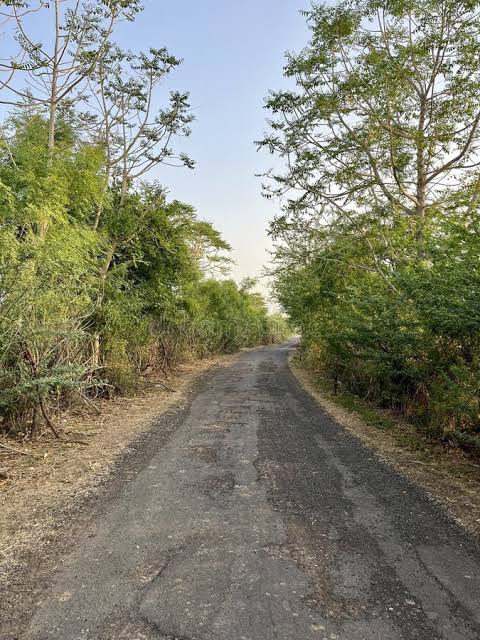 सड़क निर्माण कार्य